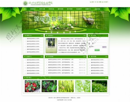 网站植物生物学
