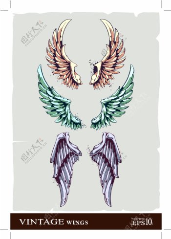 翅膀T恤花纹纹身图案