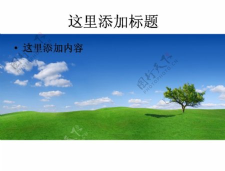 绿草平原蓝天白云