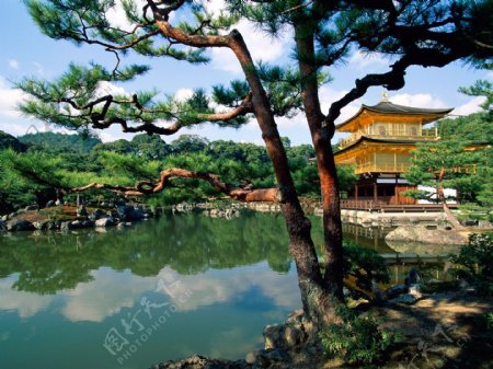 日本建筑风光园艺环境园林艺术