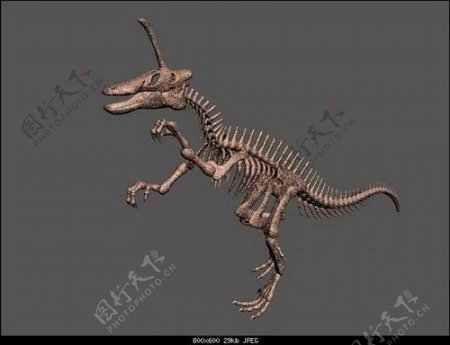 动物恐龙爬行类3d模型素材免费下载恐龙模型素材3