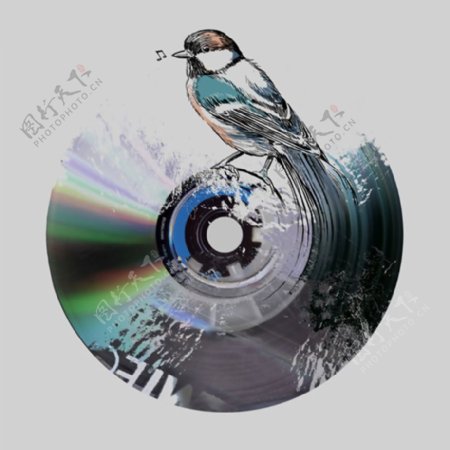 位图音乐元素唱片鸟类插画免费素材