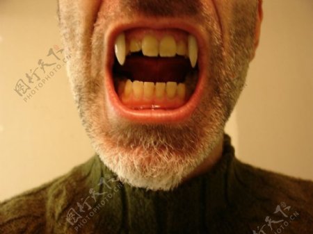 可伸缩的吸血鬼的尖牙