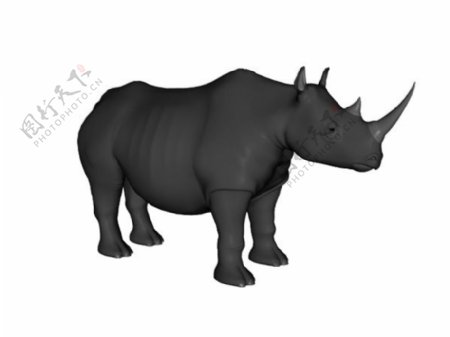 犀牛模型