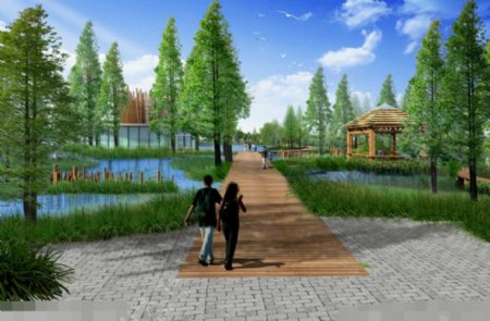 湿地公园景观设计