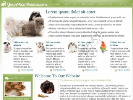 宠物世界网站模板
