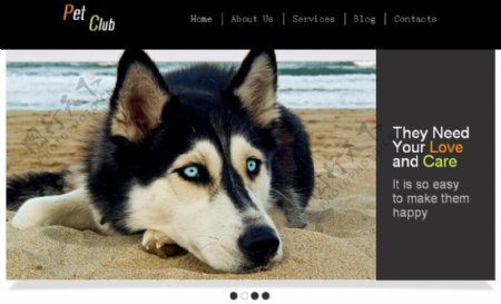 宠物狗狗俱乐部网站模板