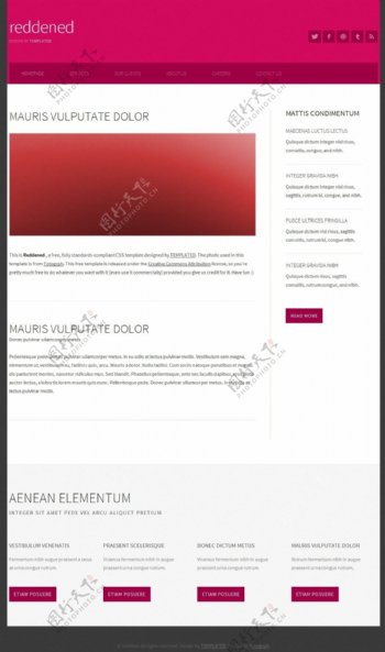 紫红二列信息网页模板