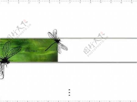 蜻蜓创意PPT背景模版PPT