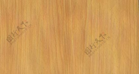榉木31木纹木纹板材木质