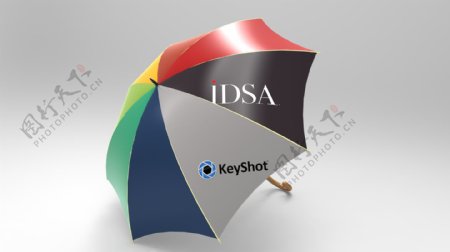 伞IDSA渲染的挑战
