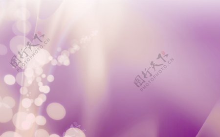 紫色背景素材背景图片