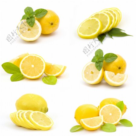 柠檬高清组图