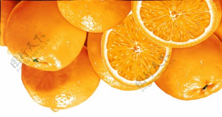 橙子食品插画