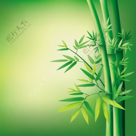 矢量绿色竹叶背景光晕素材