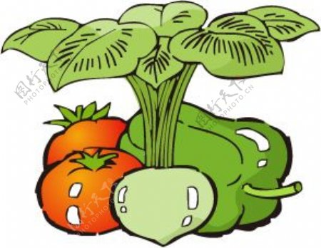 印花矢量图卡通植物蔬菜辣椒萝卜免费素材