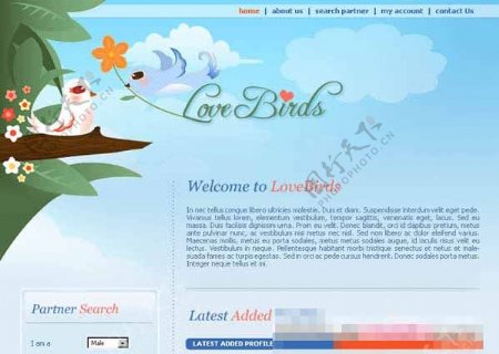 婚恋交友类型网页CSS模板