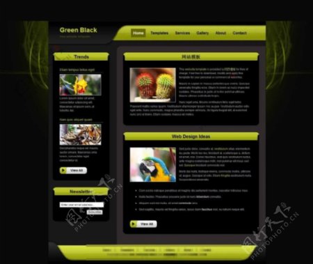 暗黄色质感网站模板