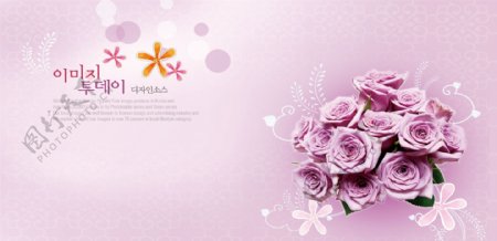 韩风玫瑰图片