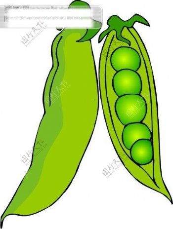 蔬菜卡通图豌豆89