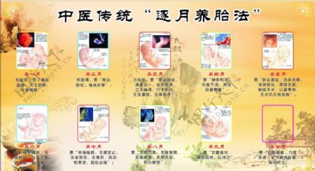 中医传统养胎法图片