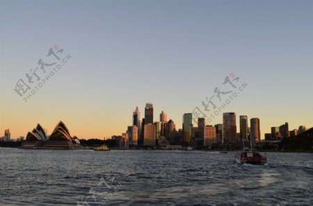 悉尼市景图片