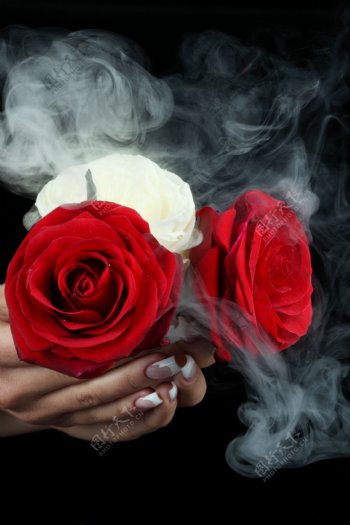 指甲玫瑰烟雾图片