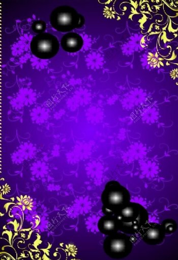 紫花黑底