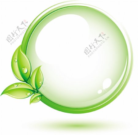 绿色植物和圆
