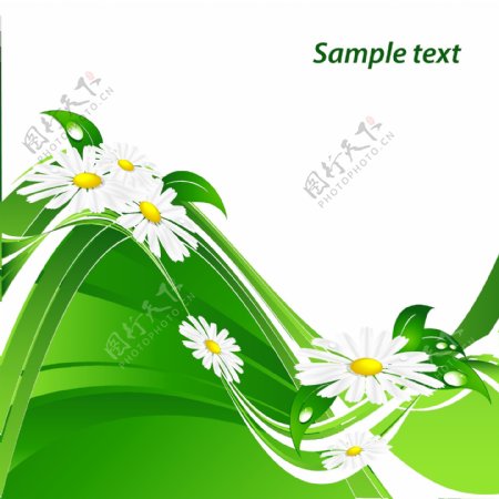 绿色环保动感线条鲜花水珠图片
