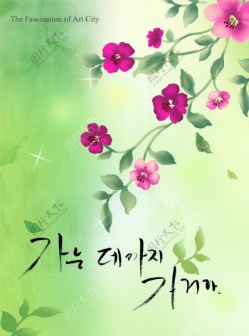 韩国花纹