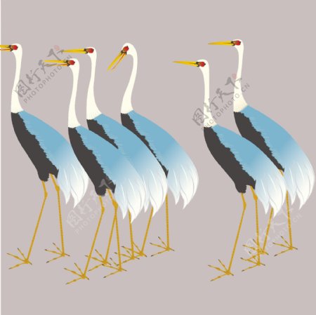 印花矢量图动物鸟类仙鹤色彩免费素材