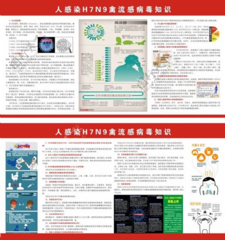 H7N9禽流感广告设计模板