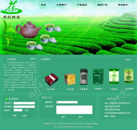 茶叶网站ps格式