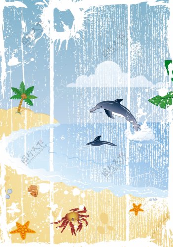 4个热带海滩海豚向量的场景