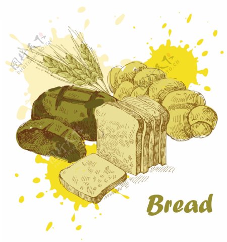 矢量素材手绘面包