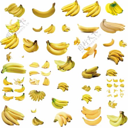香蕉图片