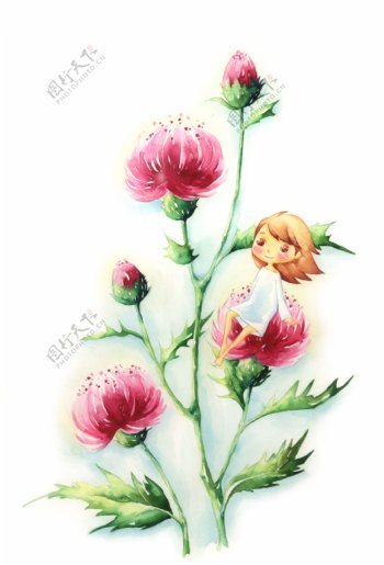 韩国花卉艺术