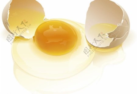 鸡蛋矢量图片