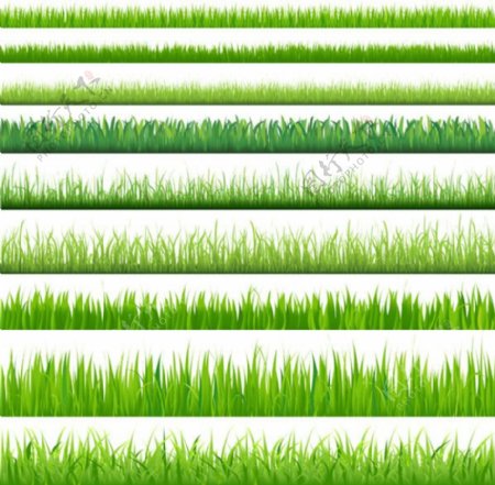 矢量素材绿色小草背景