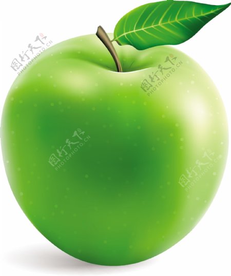 绿苹果矢量素材