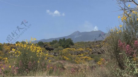 西西里岛的埃特纳火山吸烟股票视频画面细节视频免费下载