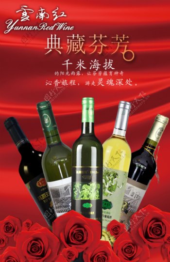 云南红葡萄酒广告