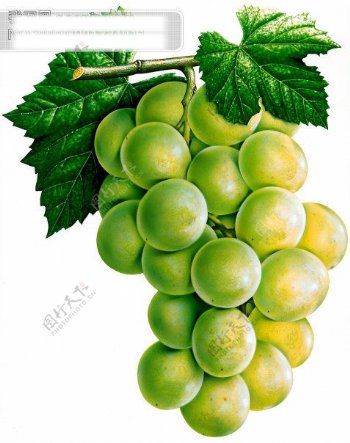 新鲜水果串串绿葡萄