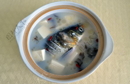 砂锅鱼头煲图片