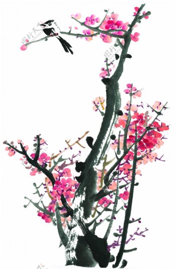 中国画花鸟