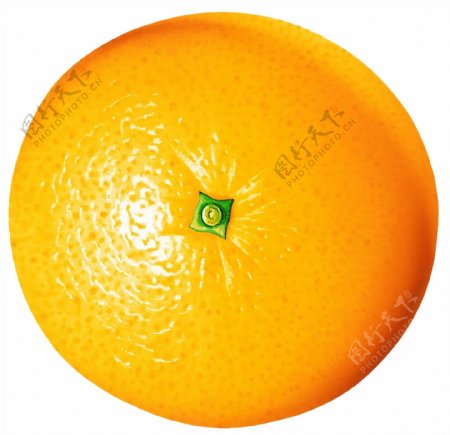 橘子特写橘子图片橘子标本橘子素材