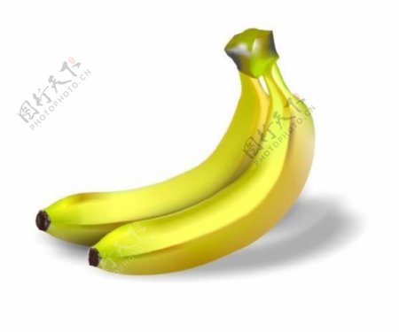 香蕉矢量cdr图片