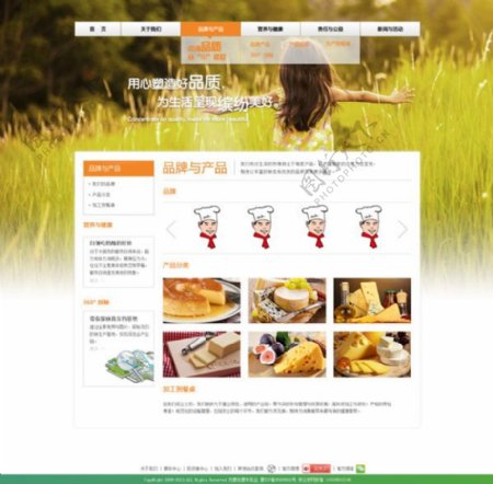 精美食品网站PSD分层素材