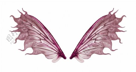 翅膀蝴蝶蝴蝶翅膀合成素材图片